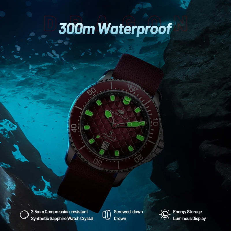 Seagull King of the Dragon Men's Watches Automatic Mechanical Watch Sports Diver 300M Waterproof Wristwatch Luxury 2024 New 1216